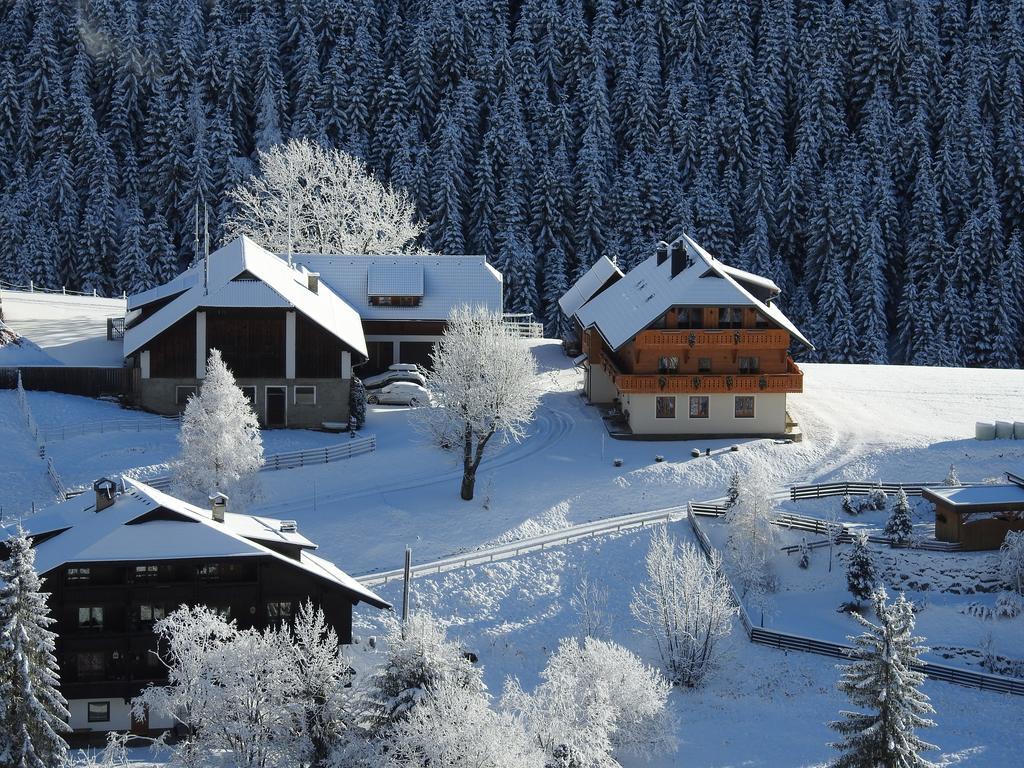 Ferienwohnung Der Hoferbauer Bad Kleinkirchheim Exterior foto