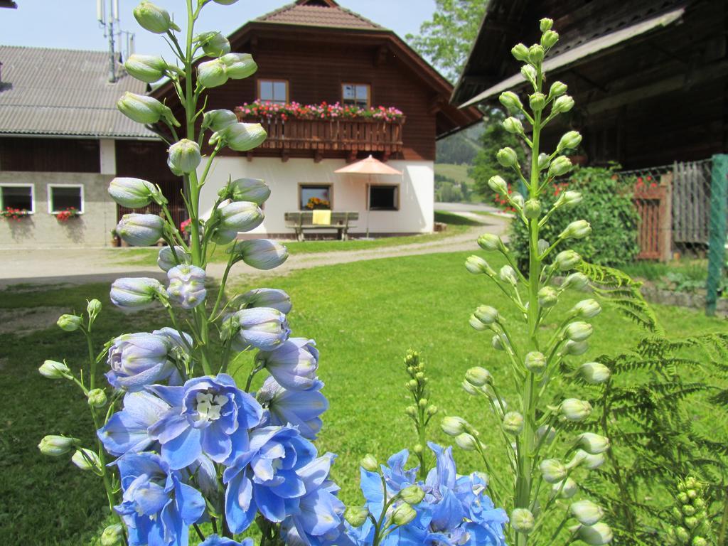 Ferienwohnung Der Hoferbauer Bad Kleinkirchheim Exterior foto