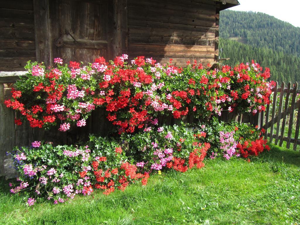 Ferienwohnung Der Hoferbauer Bad Kleinkirchheim Exterior foto