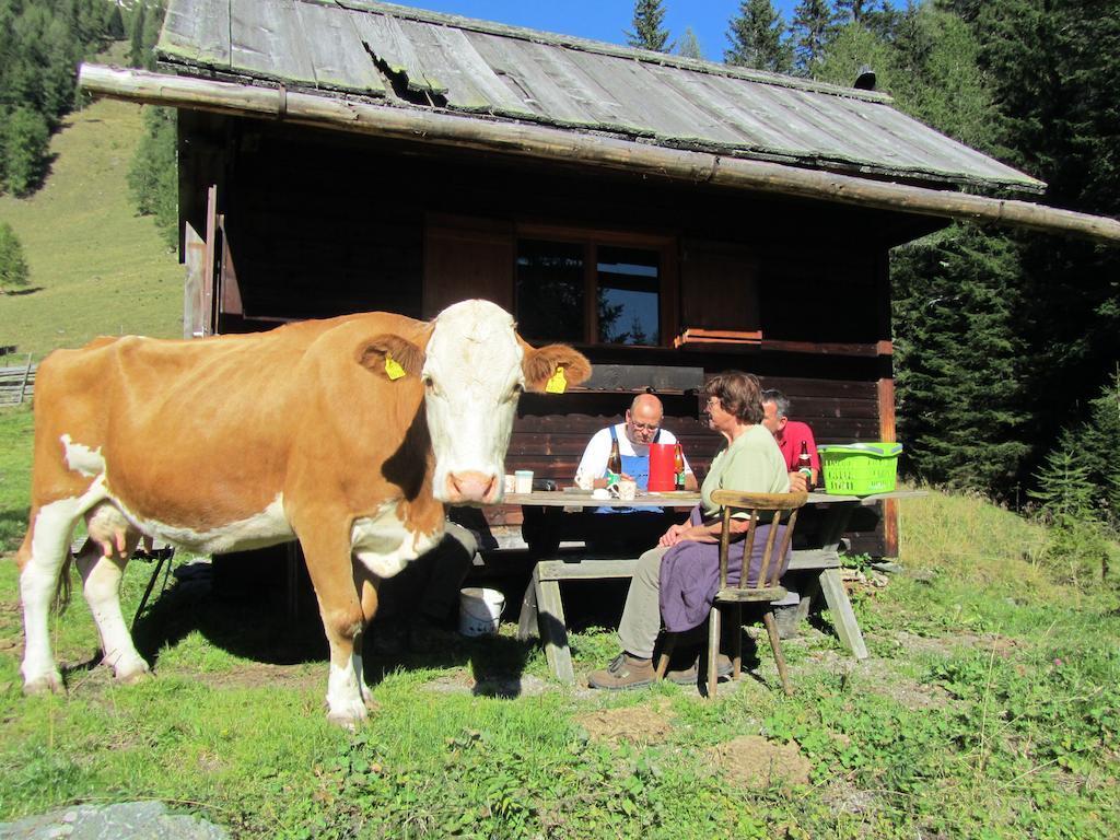 Ferienwohnung Der Hoferbauer Bad Kleinkirchheim Exterior foto